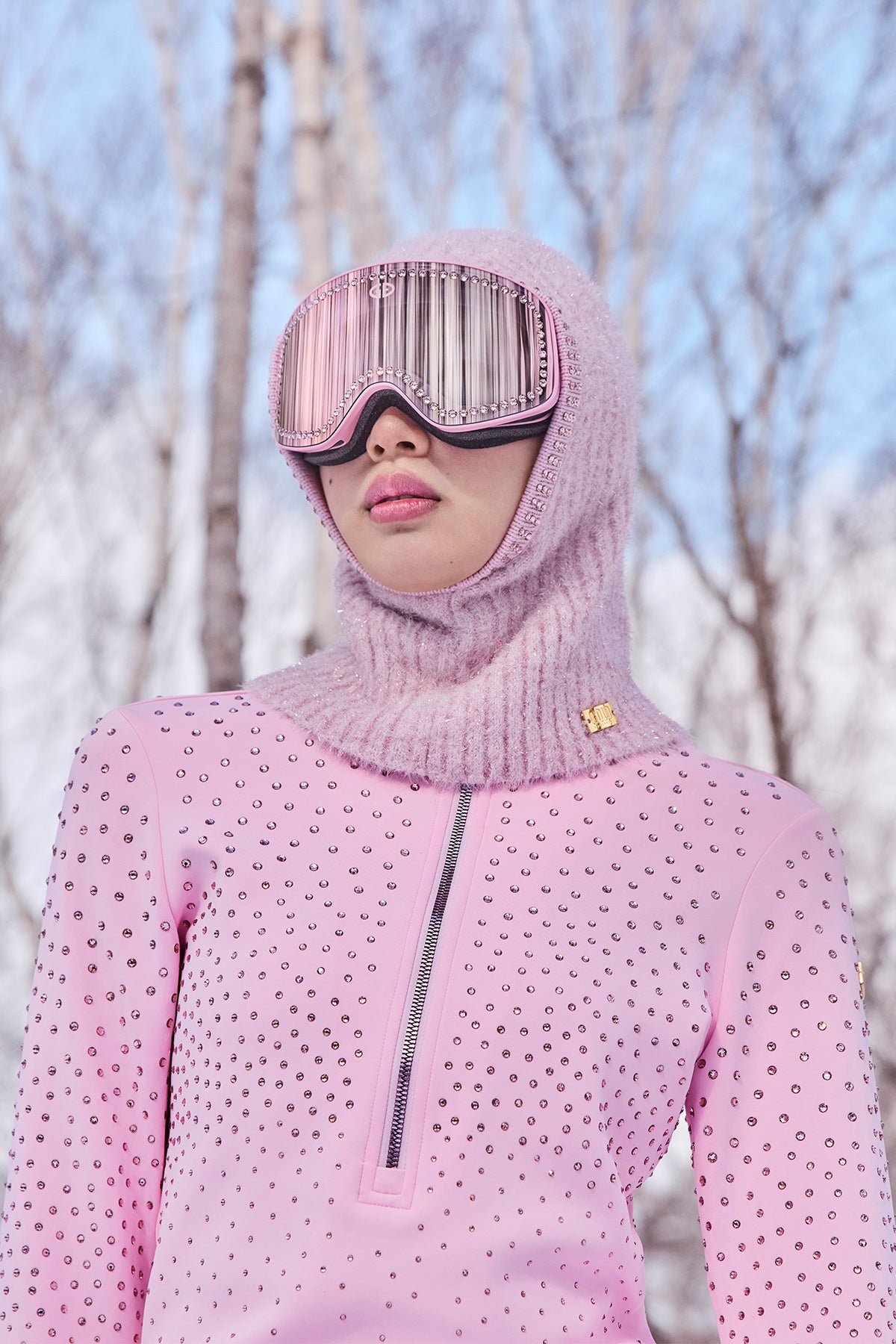 HANE ski pully