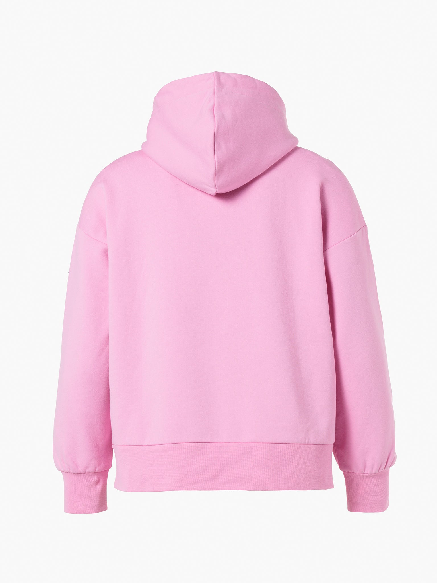 HARVARD hoodie