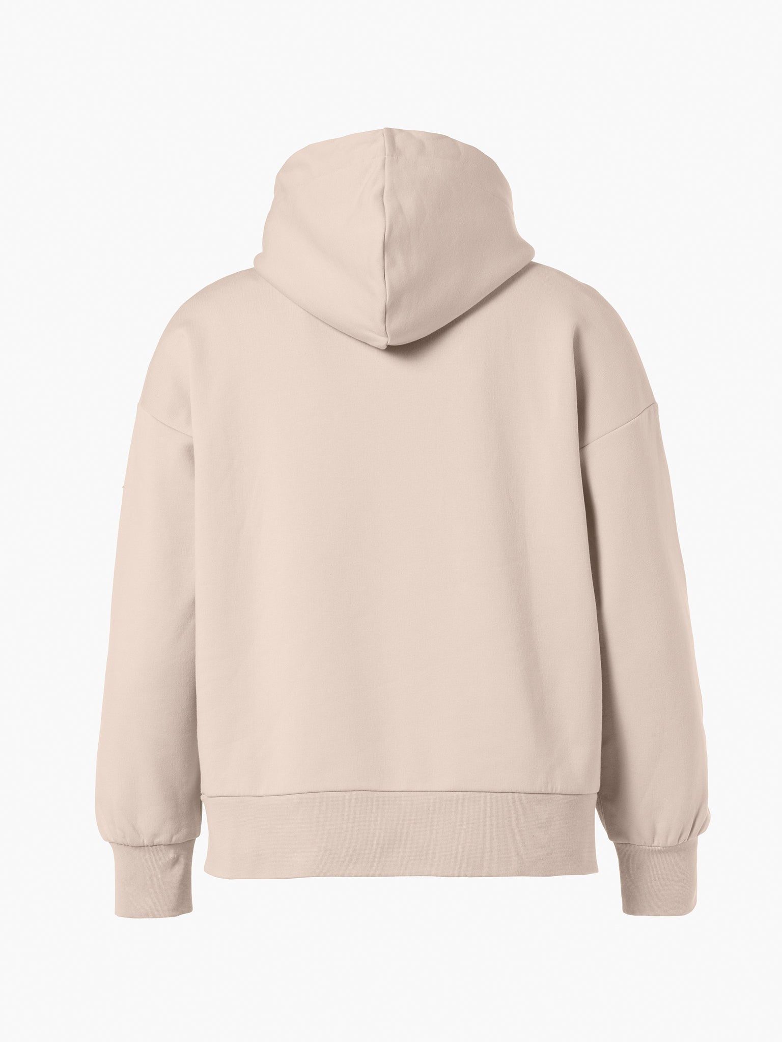 HARVARD hoodie