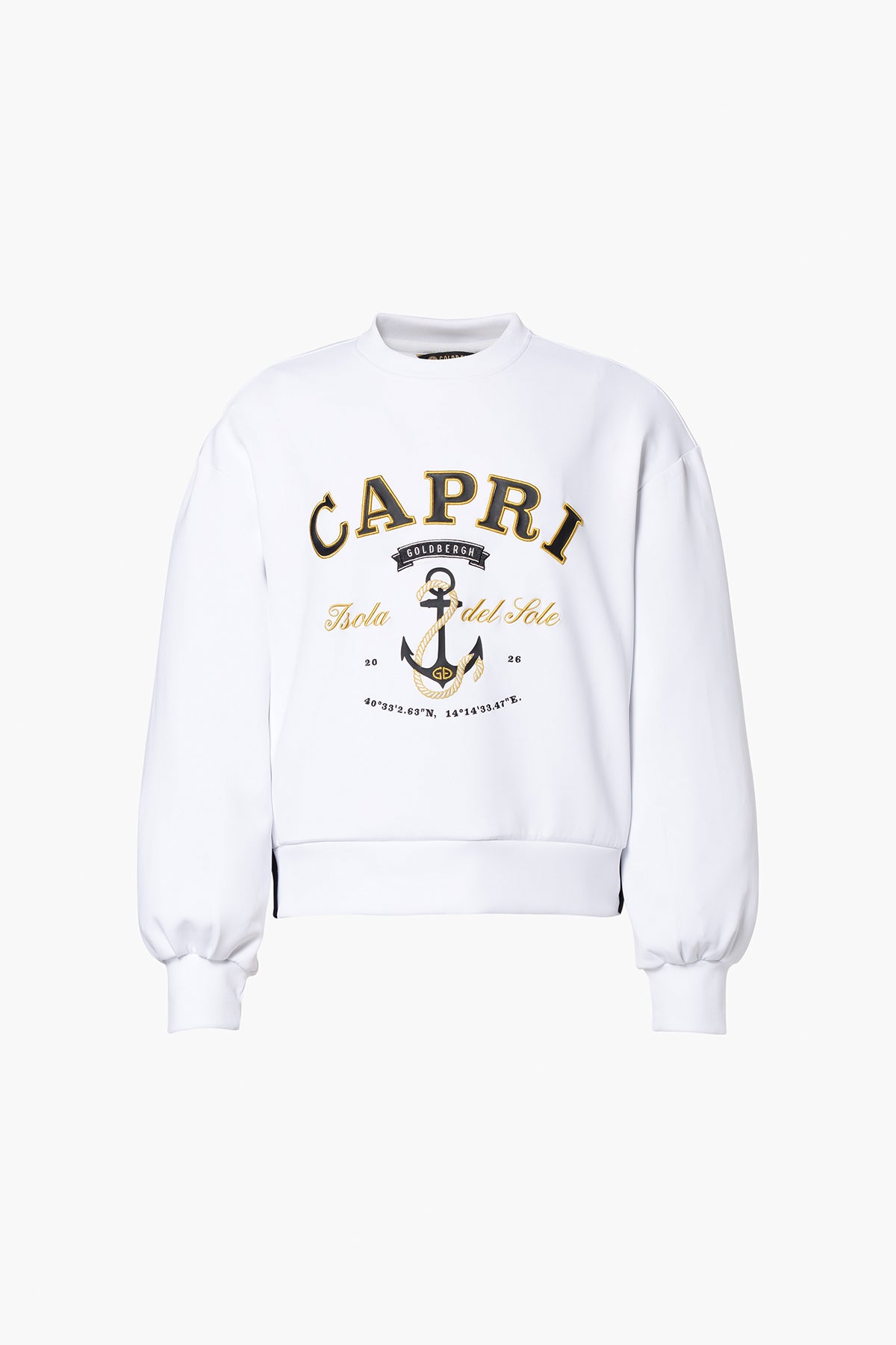 FICO sweater