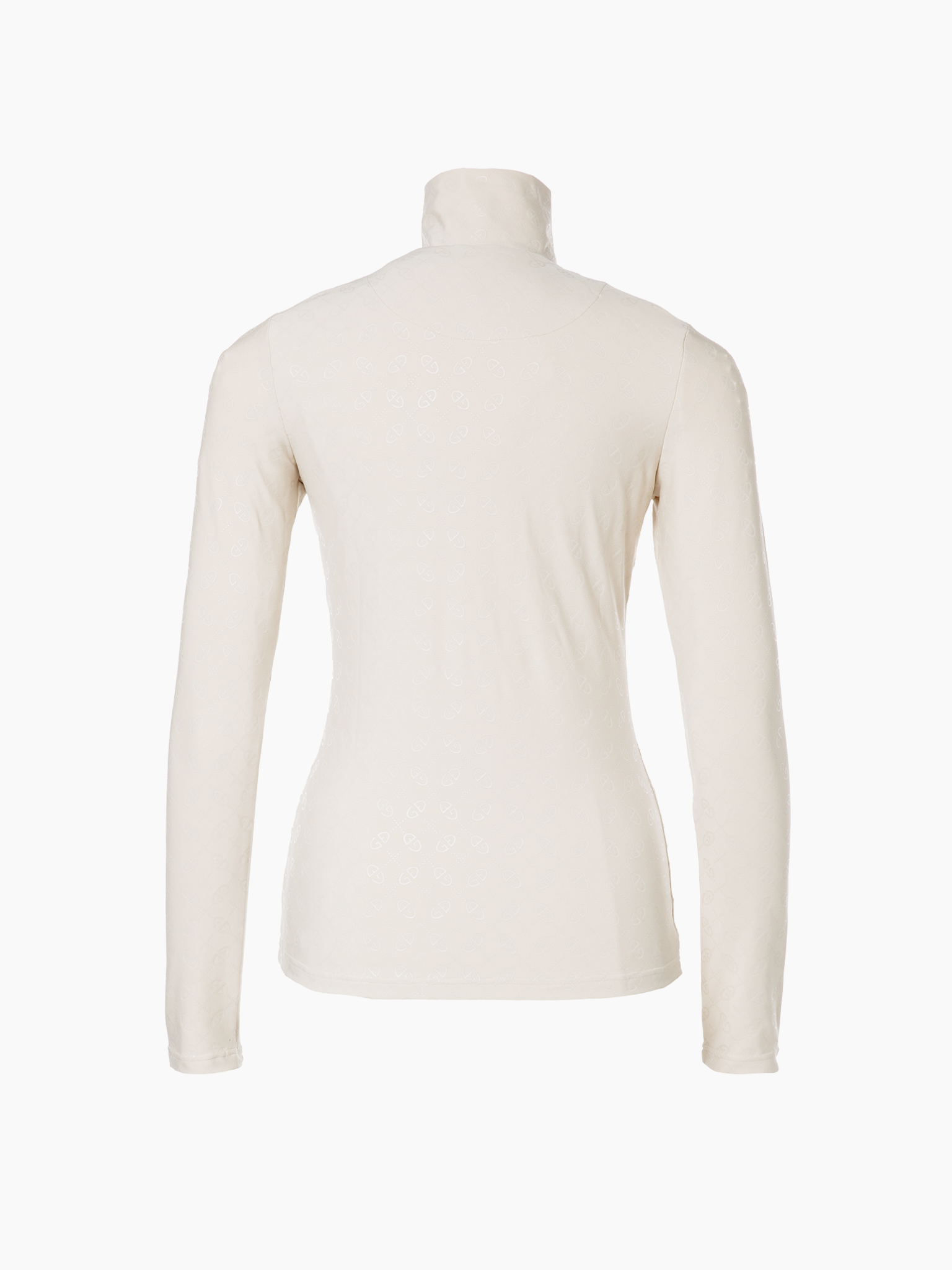 ICON ski pully
