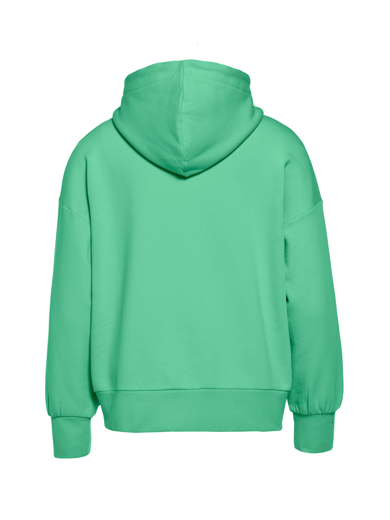 HARVARD hoodie spring green